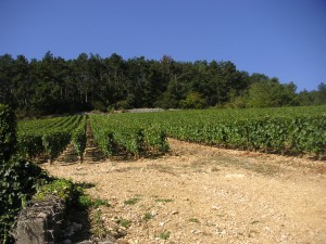 gevrey-combe-aux-moines