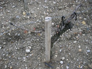 Lynch Bages Lynch Bages