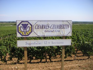 Charmes-Chambertin2