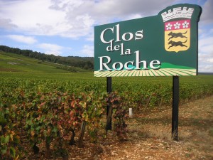 Clos de la Roche