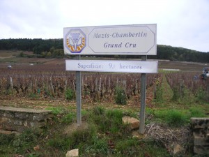 Mazis-Chambertin