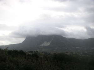 Campania5