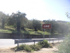 Ciro7