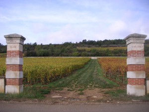 Puligny 1er Clos du Cailleret